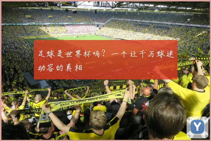 足球是世界杯吗？一个让千万球迷动容的真相