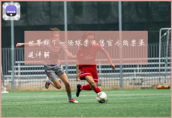 世界杯下一场球票开售官方购票渠道详解
