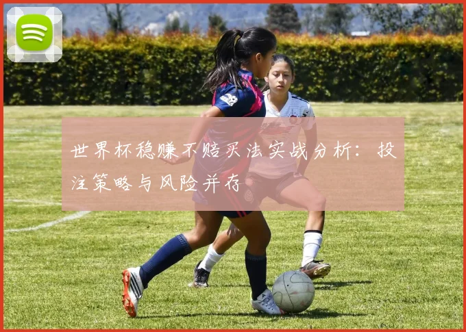 世界杯稳赚不赔买法实战分析:投注策略与风险并存